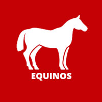 Equinos