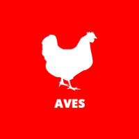 Aves