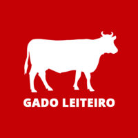 Gado leiteiro